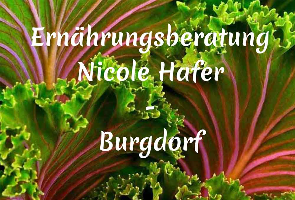 Ernährungsberatung Hafer - Burgdorf